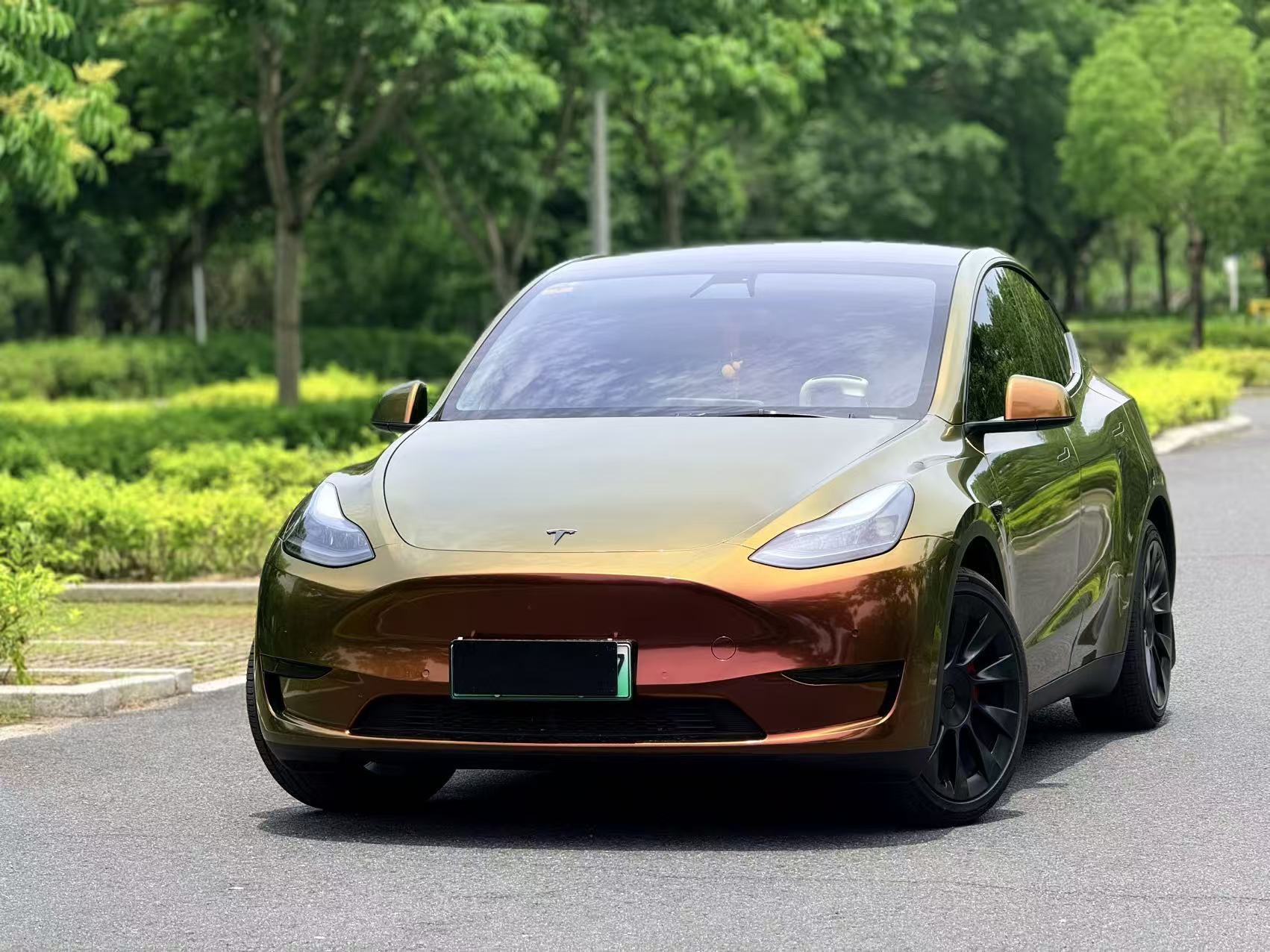 Tesla Model Y 2022 Tesla Model Y 2022 car image