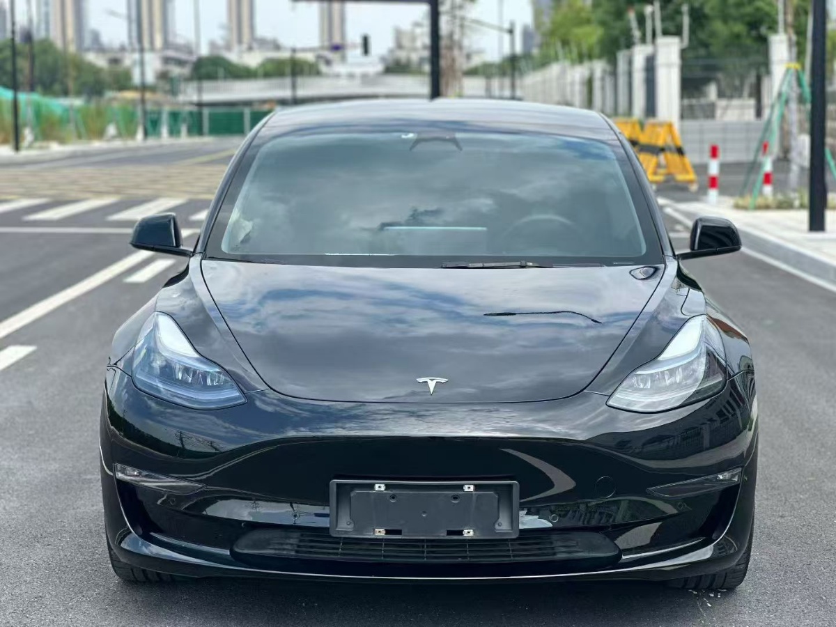 Tesla Model 3 2022 #2 Tesla Model 3 2022 car image #2