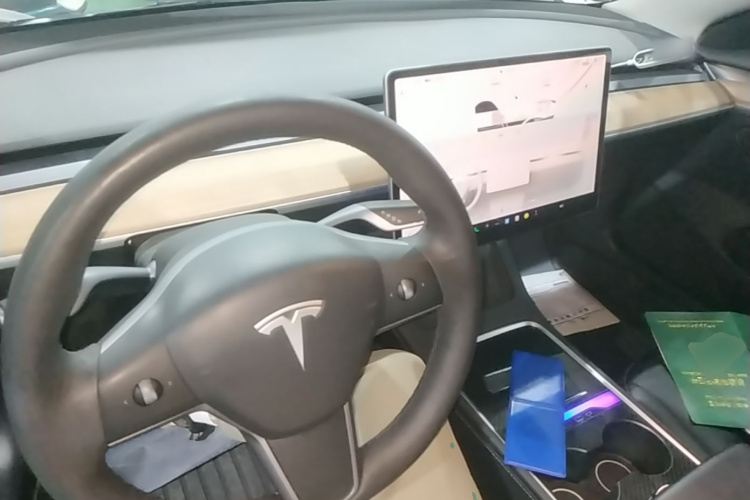 Tesla Model 3 2022 car image #10