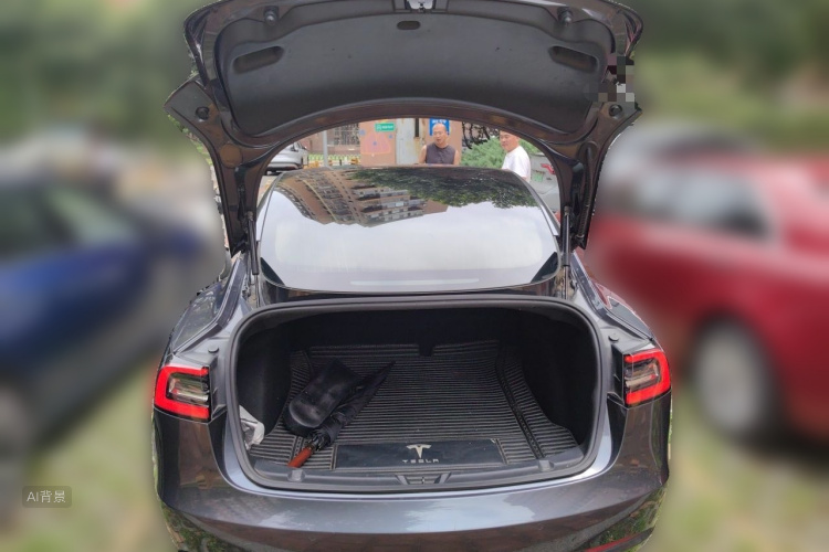 Tesla Model 3 2019 car image #21