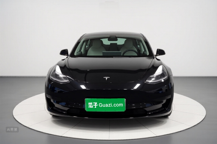 Tesla Model 3 2022 #3 Tesla Model 3 2022 car image #3