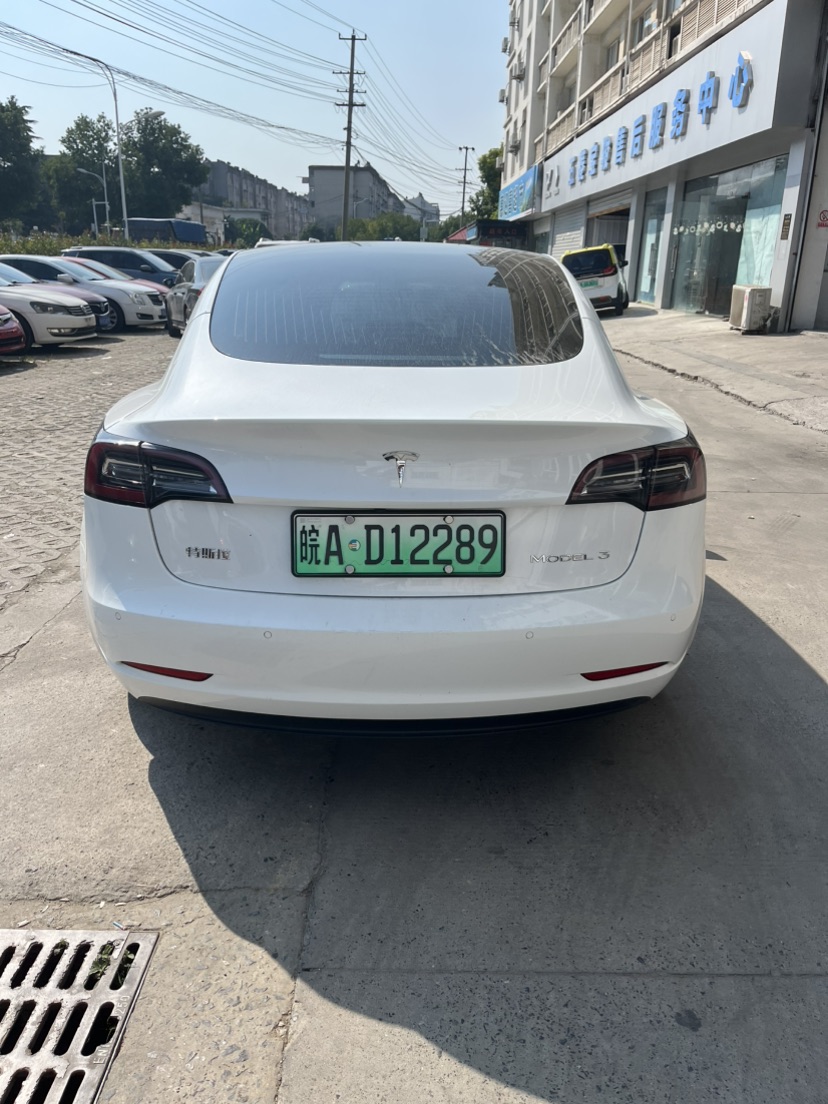 Tesla Model 3 2020 imagem de carro #6