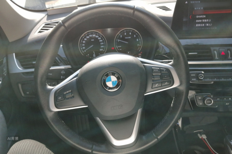 BMW X1 New Energy 2020 car image #12