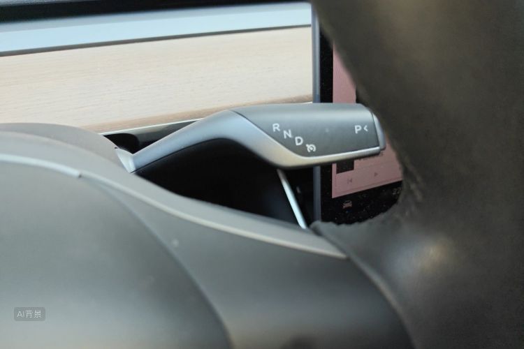 Tesla Model 3 2020 car image #16