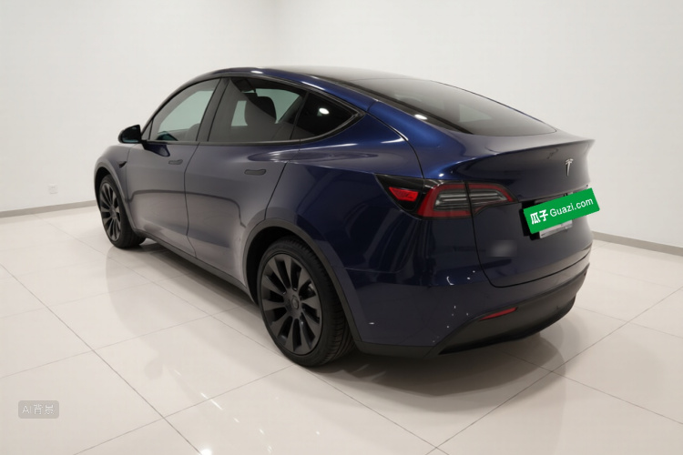 Tesla Model Y 2021 car image #5