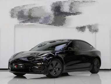 Tesla Model 3 2023 car image 