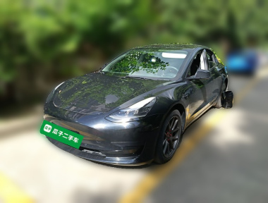 Tesla Model 3 2022 car image 