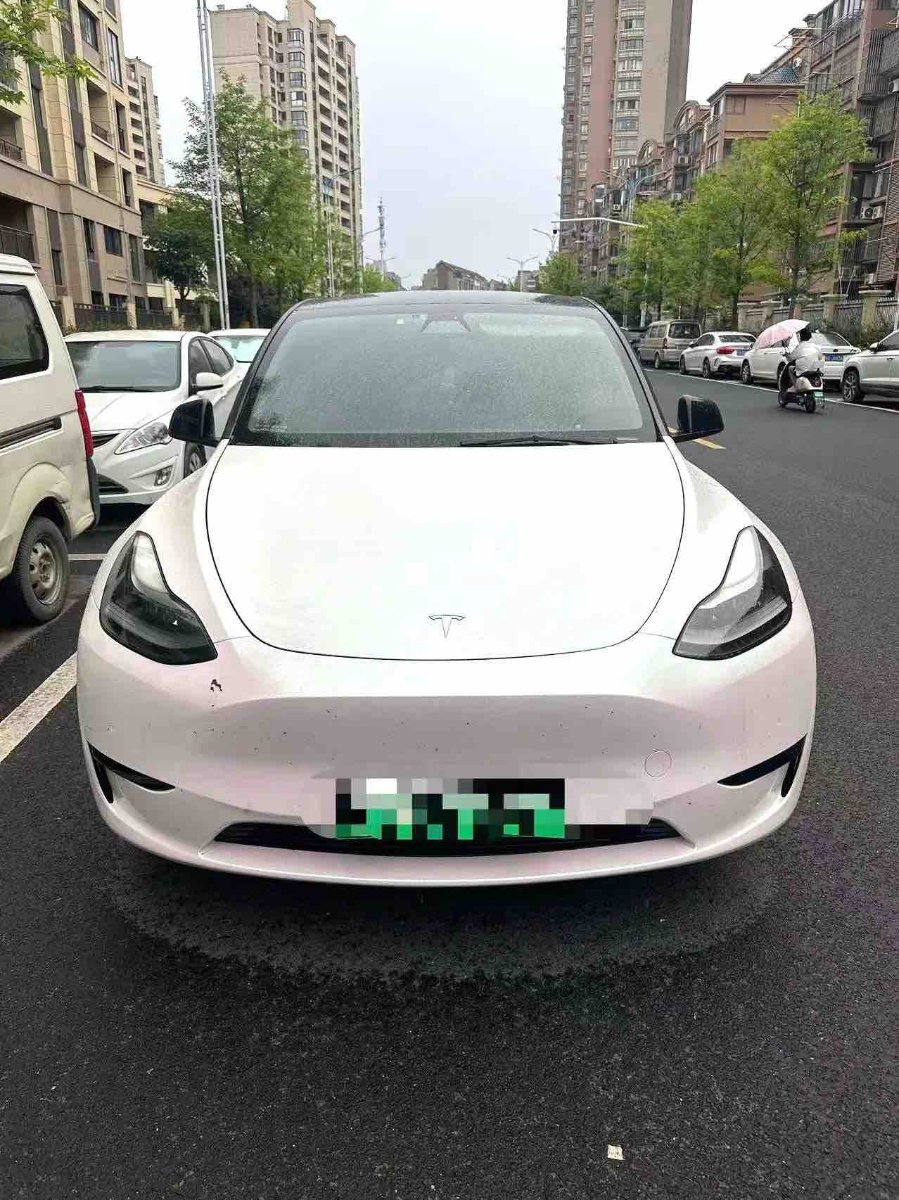 Tesla Model Y 2022 Tesla Model Y 2022 car image