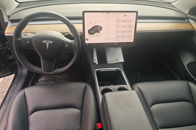 Tesla Model 3 2022 immagine di auto #10