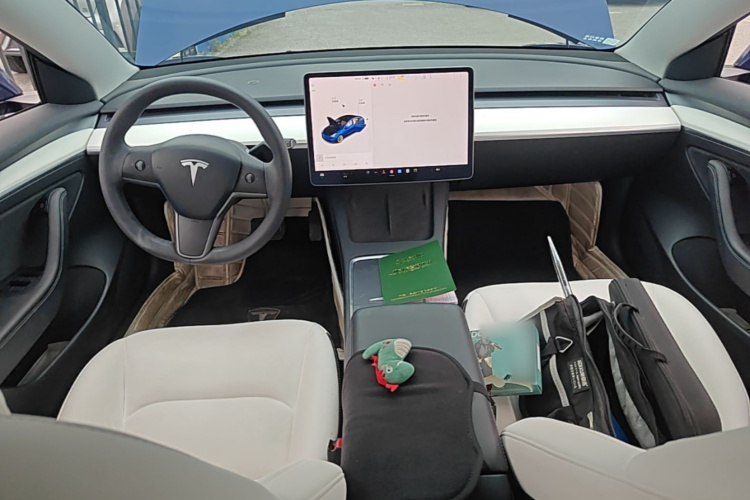 Tesla Model 3 2021 car image #10