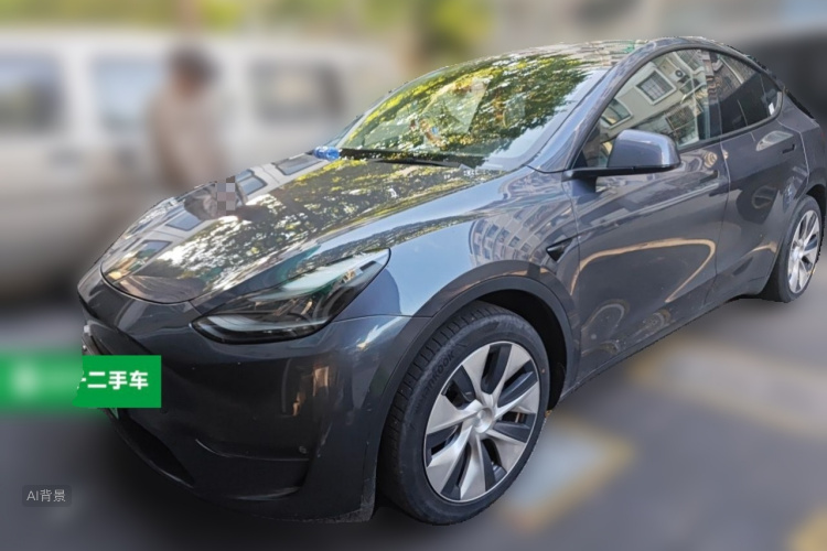 Tesla Model Y 2021 car image #2
