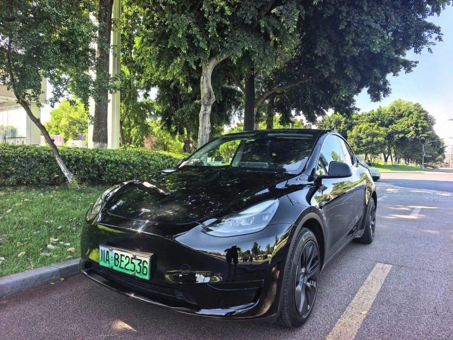 Tesla Model Y 2024 car image 
