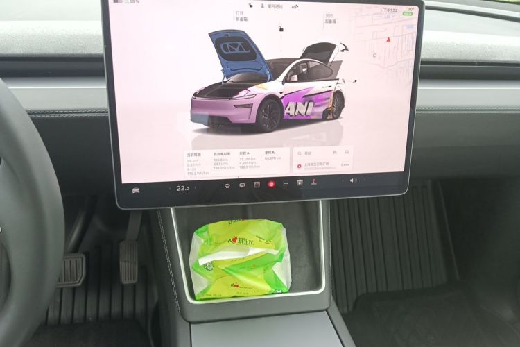 Tesla Model Y 2025 car image #13