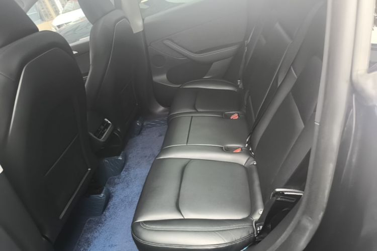 Tesla Model Y 2024 car image #17