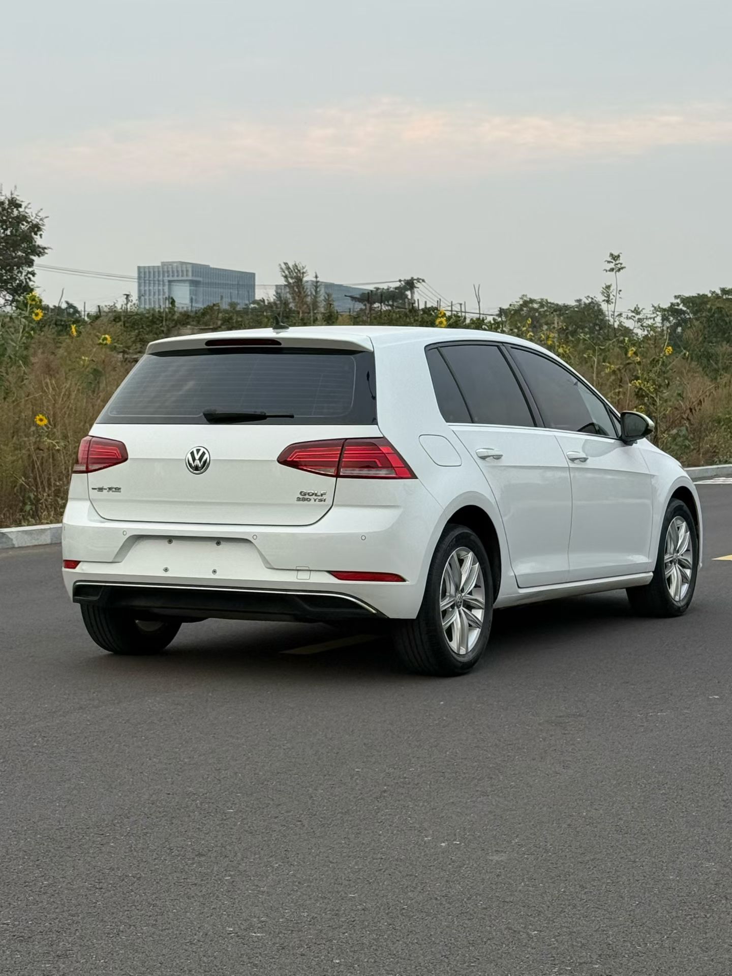 Volkswagen Golf 2019 imagen de coche #7