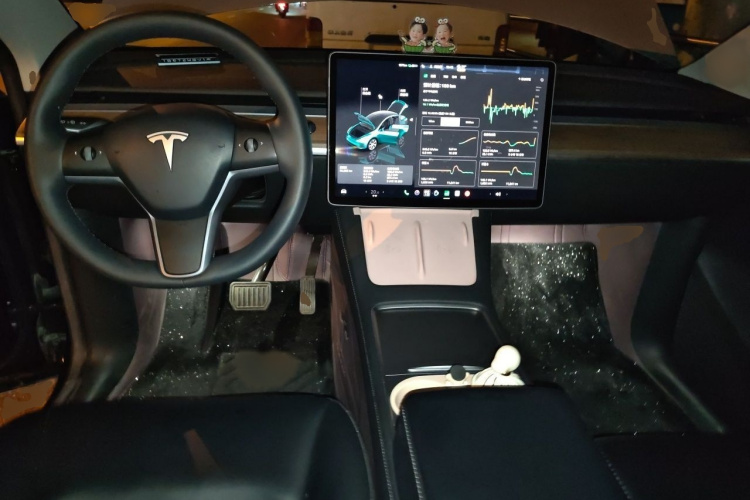 Tesla Model Y 2023 #12 Tesla Model Y 2023 car image #12