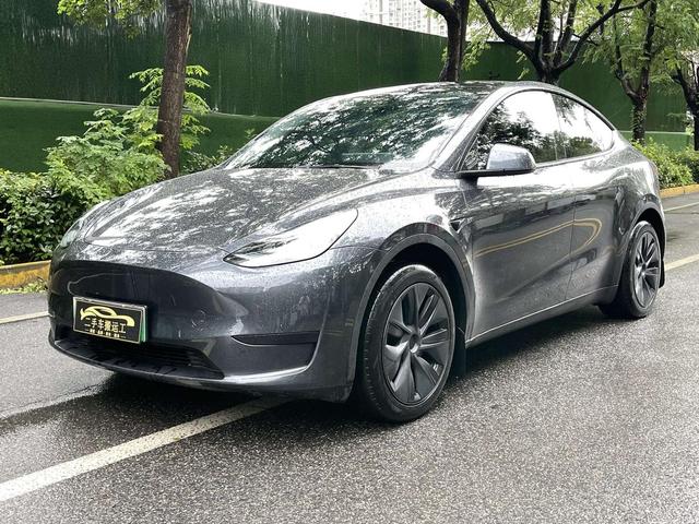 Tesla Model Y 2024 car image #15