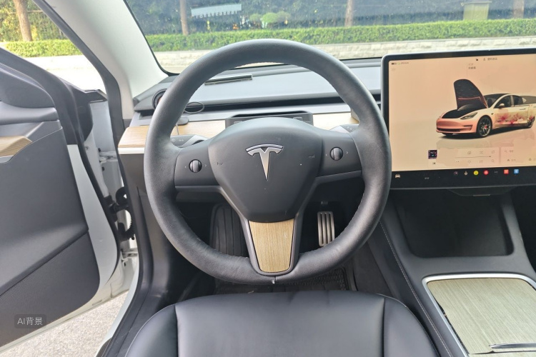 Tesla Model 3 2022 #12 Tesla Model 3 2022 car image #12