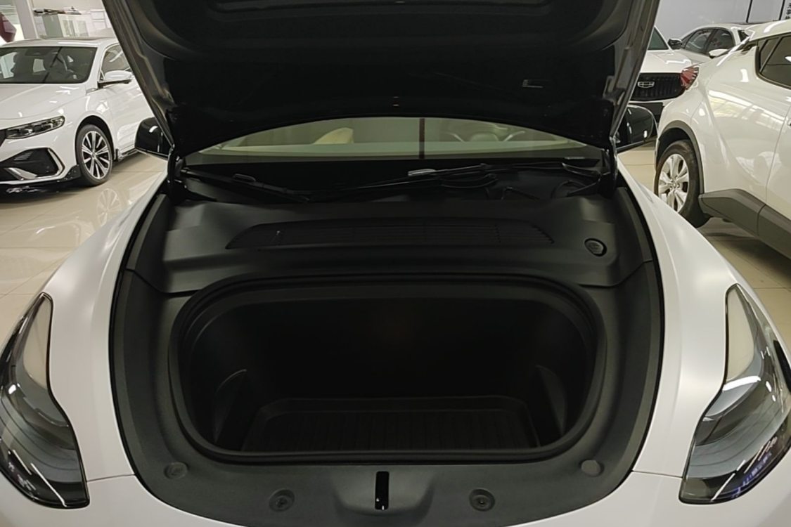 Tesla Model Y 2024 car image #6