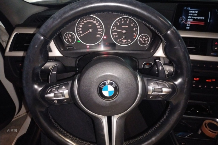 BMW 3 Series 2014 car image #12