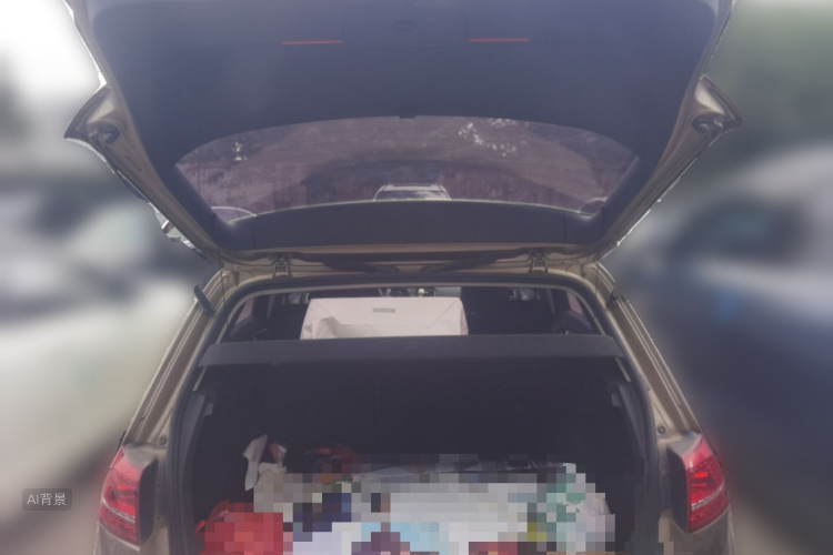 Volkswagen Golf 2016 car image #21