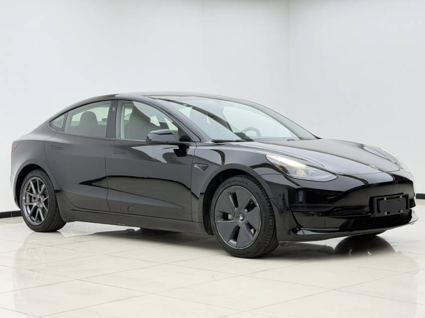 Tesla Model 3 2021 #3 Tesla Model 3 2021 immagine di auto #3