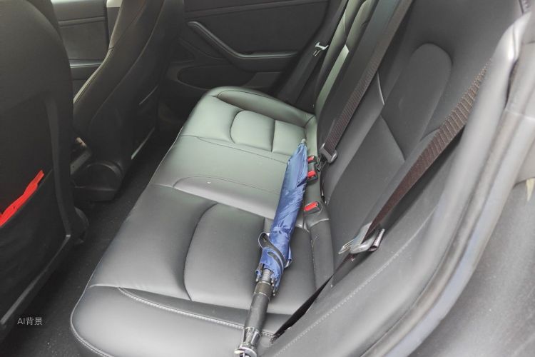 Tesla Model 3 2020 car image #19