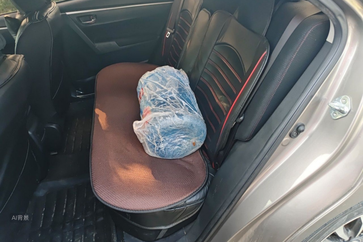 Toyota Corolla 2018 car image #19