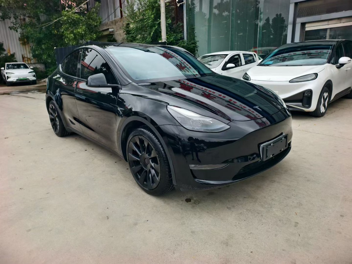 Tesla Model Y 2021 #3 Tesla Model Y 2021 car image #3