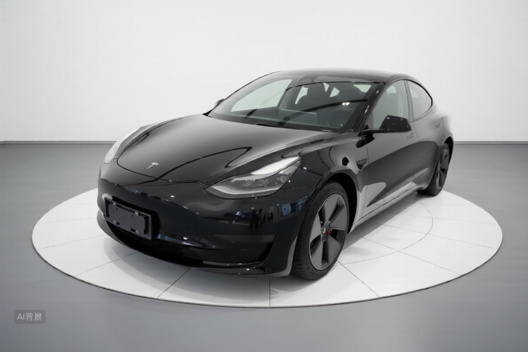Tesla Model 3 2022 immagine di auto #2