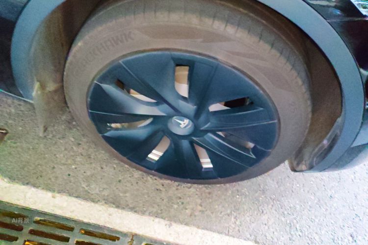 Tesla Model Y 2022 immagine di auto #9