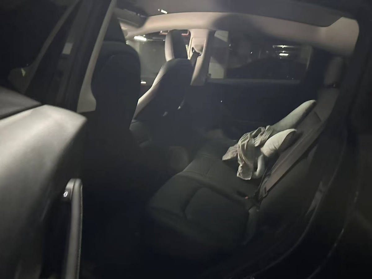Tesla Model Y 2024 car image #4