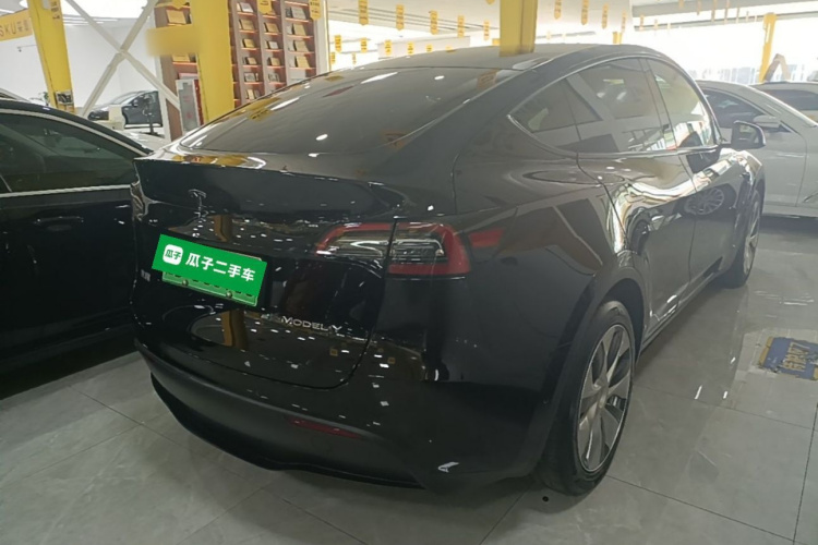 Tesla Model Y 2021 car image #5