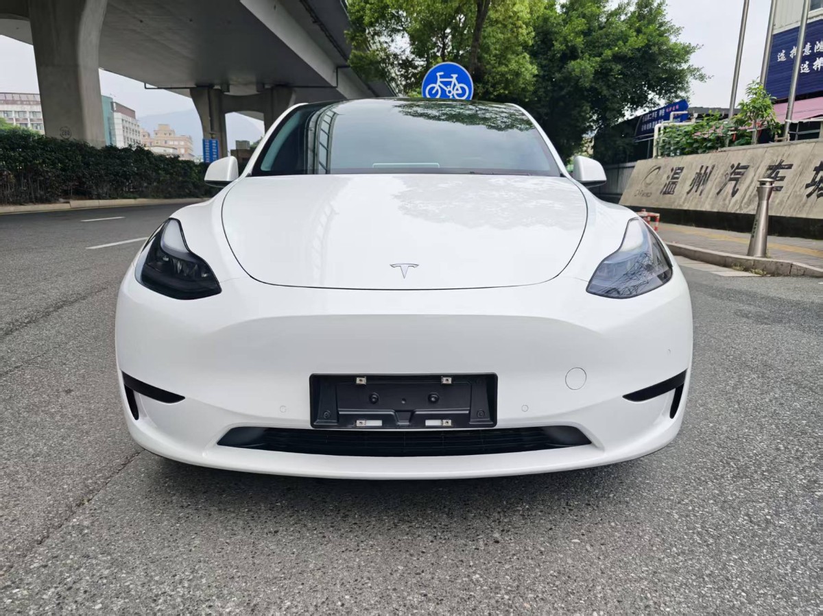 Tesla Model Y 2022 #2 Tesla Model Y 2022 car image #2