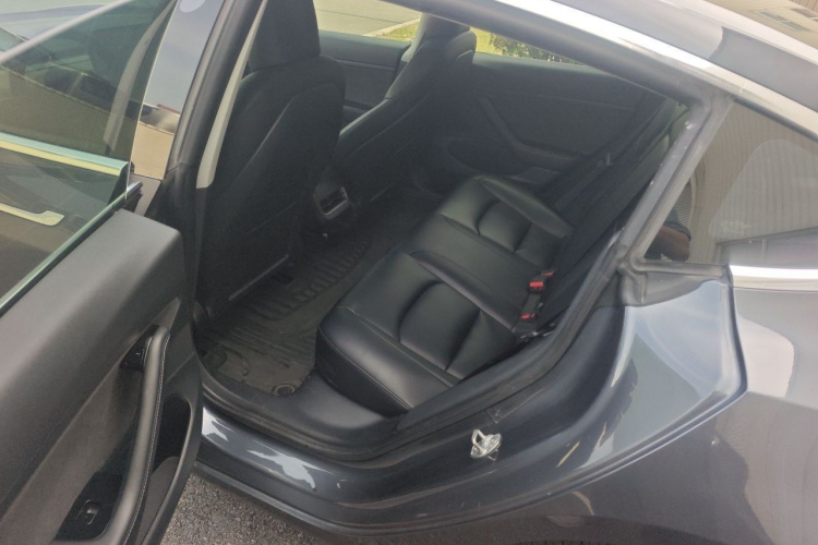 Tesla Model 3 2020 car image #14