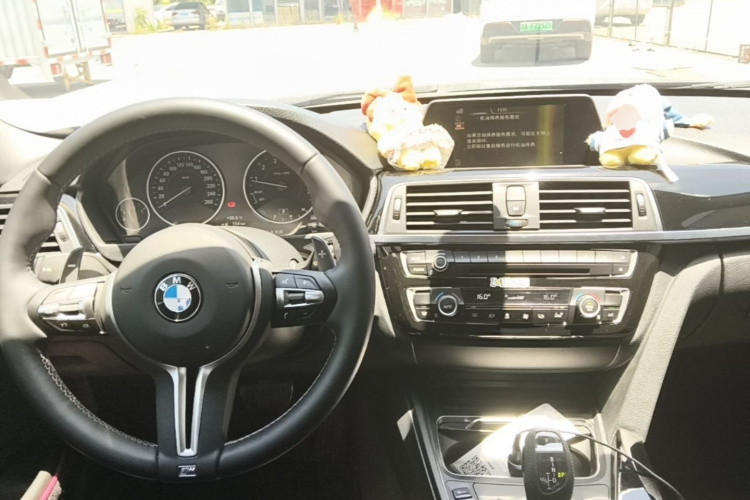 BMW 3 Series 2017 car image #11