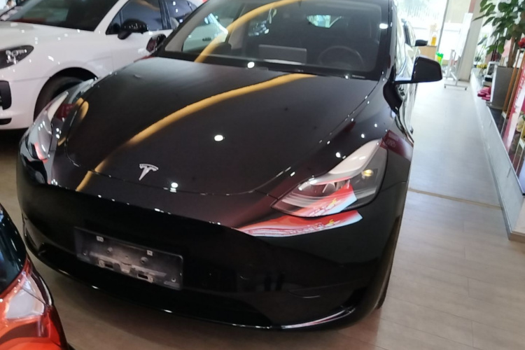 Tesla Model Y 2023 #3 Tesla Model Y 2023 car image #3