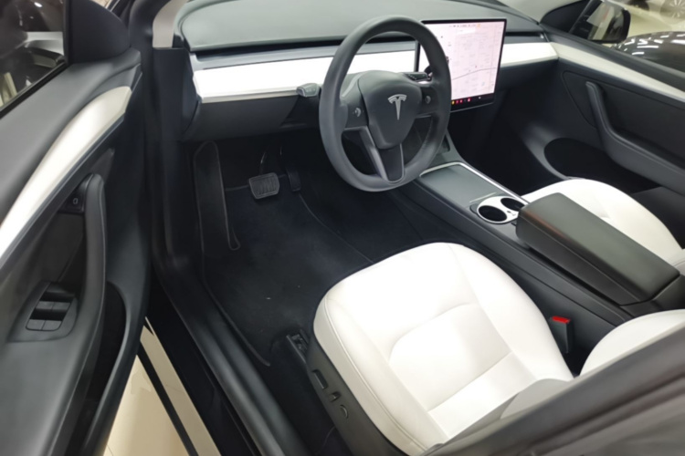 Tesla Model Y 2021 car image #12