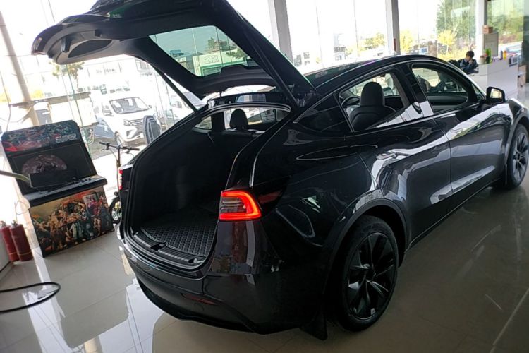Tesla Model Y 2024 car image #19