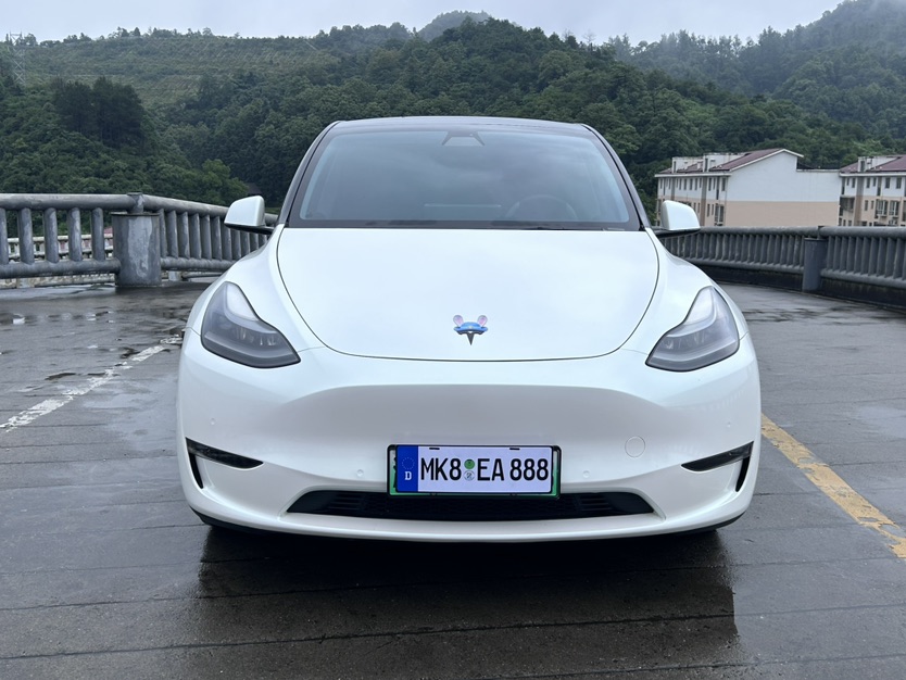Tesla Model Y 2021 #12 Tesla Model Y 2021 car image #12