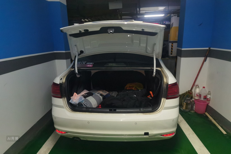 Volkswagen Lavida 2016 car image #21