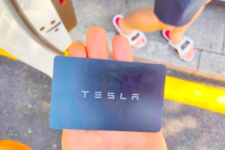 Tesla Model Y 2022 car image #10