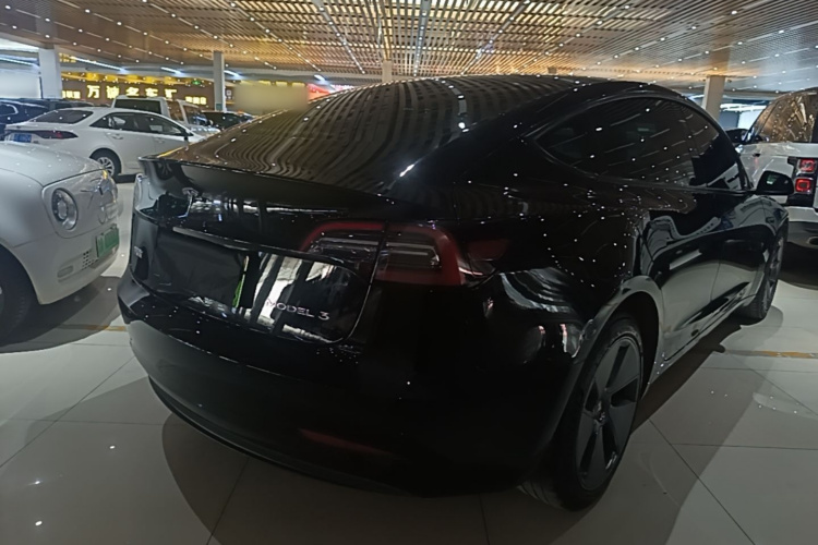 Tesla Model 3 2022 #7 Tesla Model 3 2022 car image #7