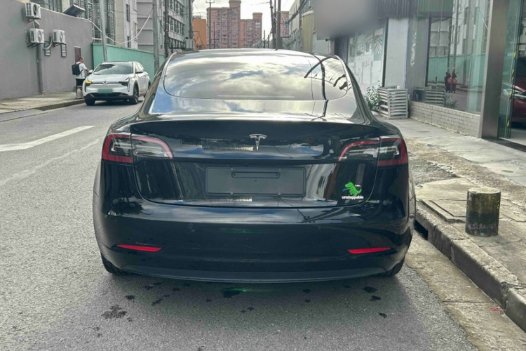 Tesla Model 3 2021 #7 Tesla Model 3 2021 car image #7