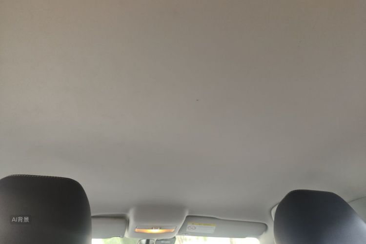 Volkswagen Polo 2015 car image #20