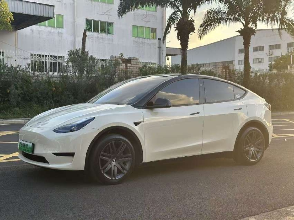 Tesla Model Y 2024 Tesla Model Y 2024 صورة سيارة
