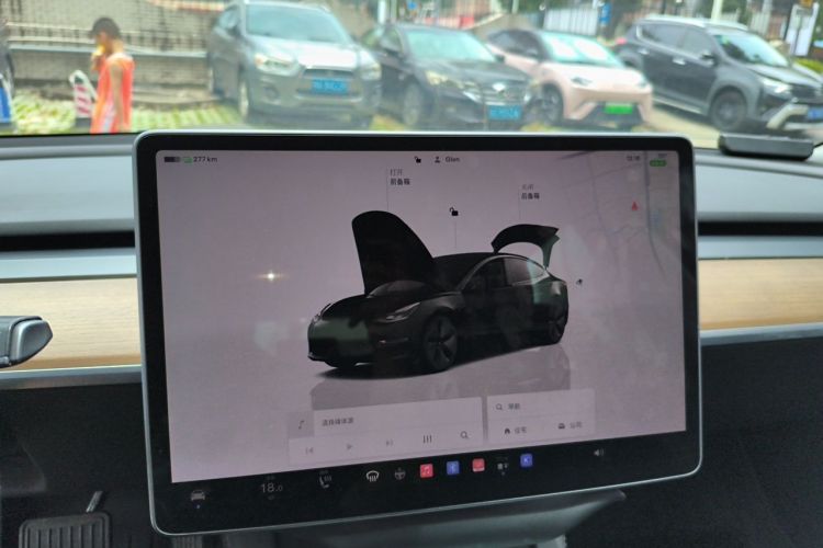 Tesla Model 3 2022 car image #12