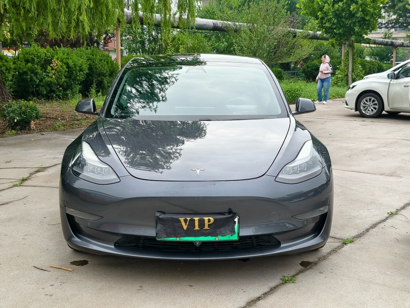 Tesla Model 3 2021 car image #2