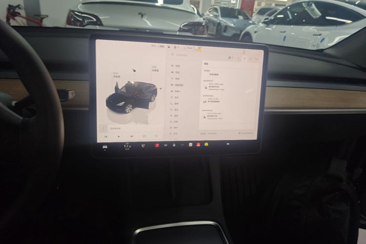 Tesla Model Y 2022 car image #13