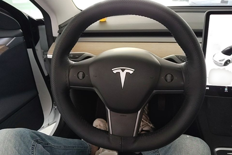 Tesla Model 3 2021 car image #11
